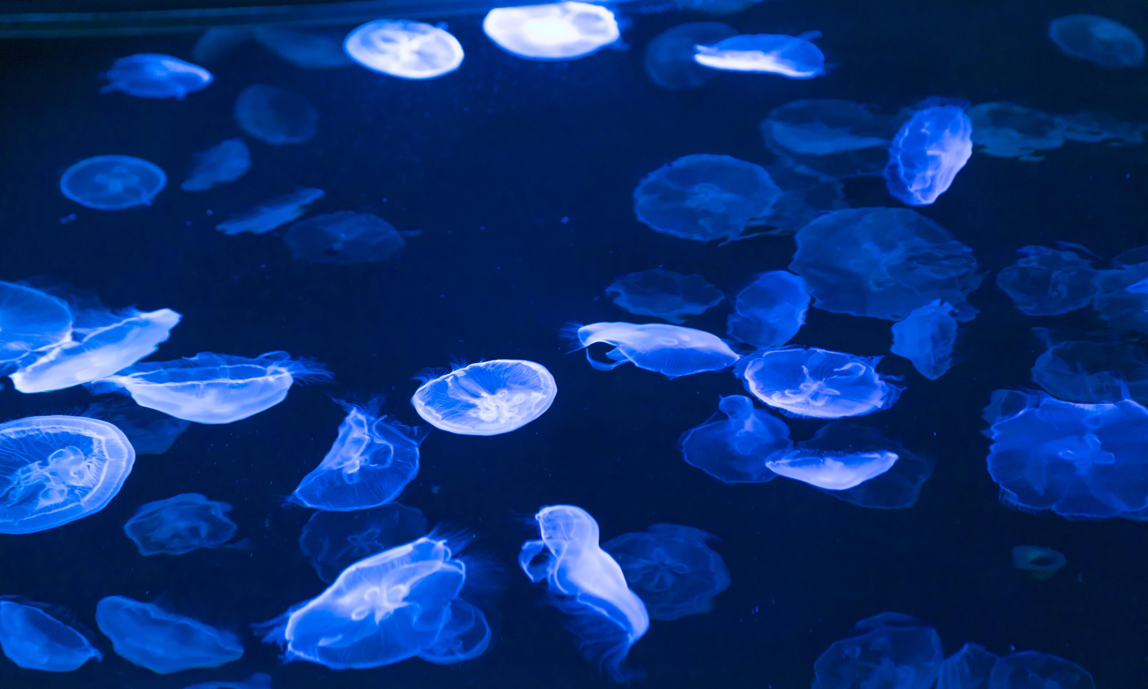 契約社員 その他 店舗の求人情報イメージ2