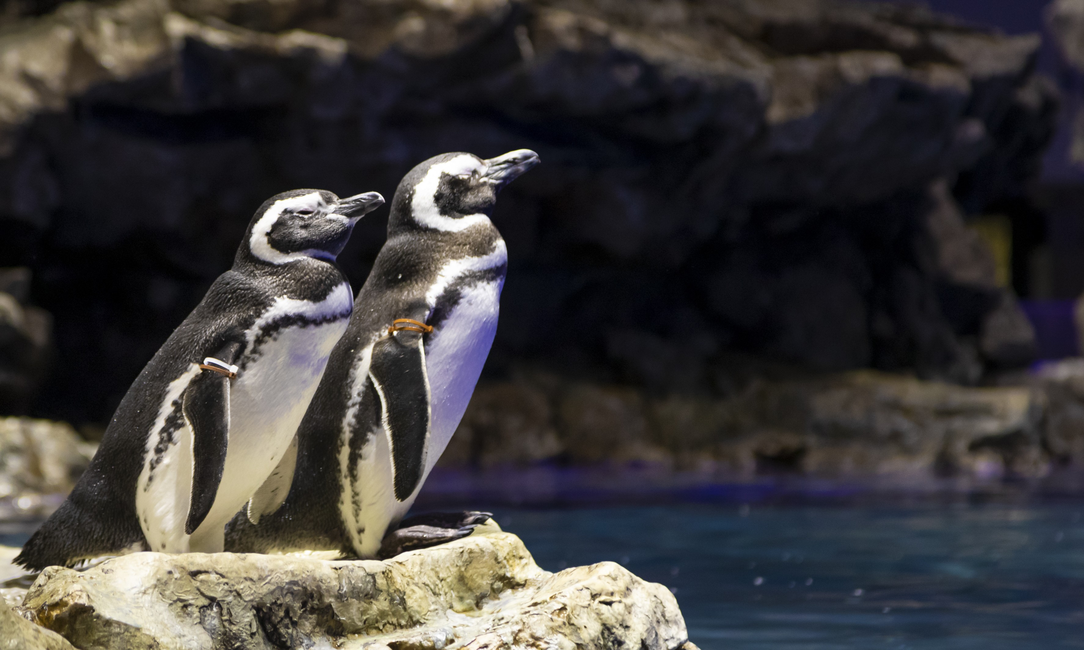 契約社員 その他 店舗の求人情報イメージ3