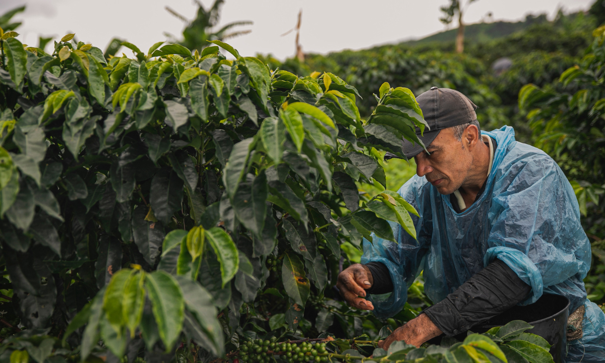 正社員 購買 オフィスの求人情報イメージ2