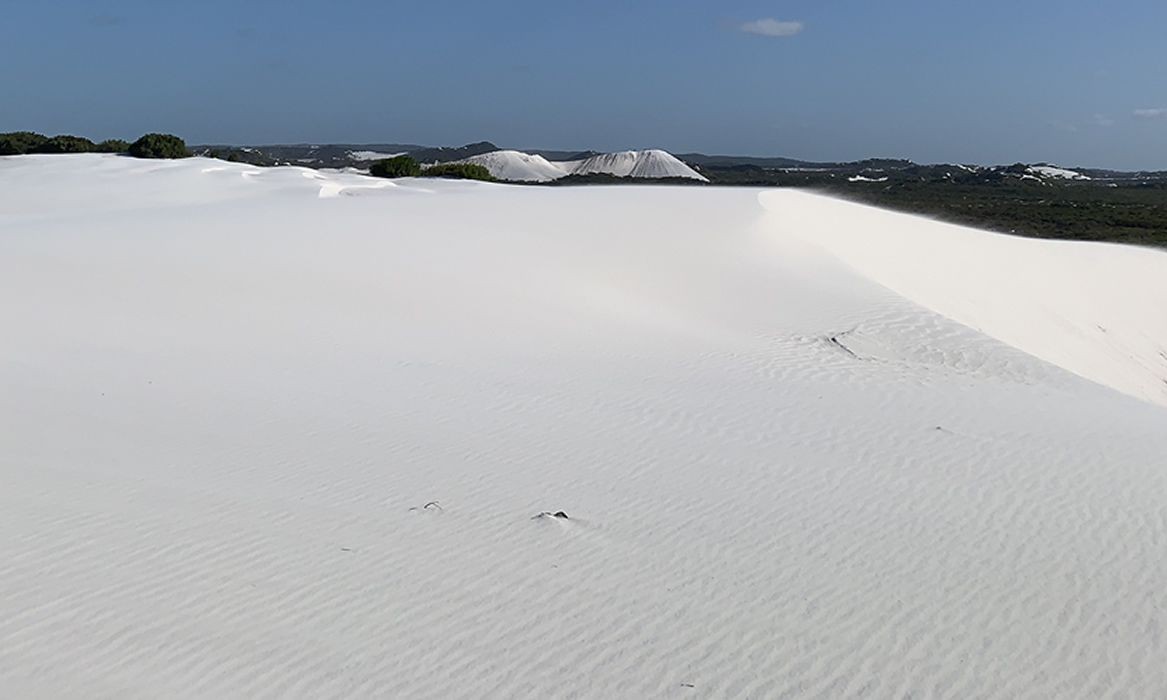 正社員 営業 オフィス求人イメージ