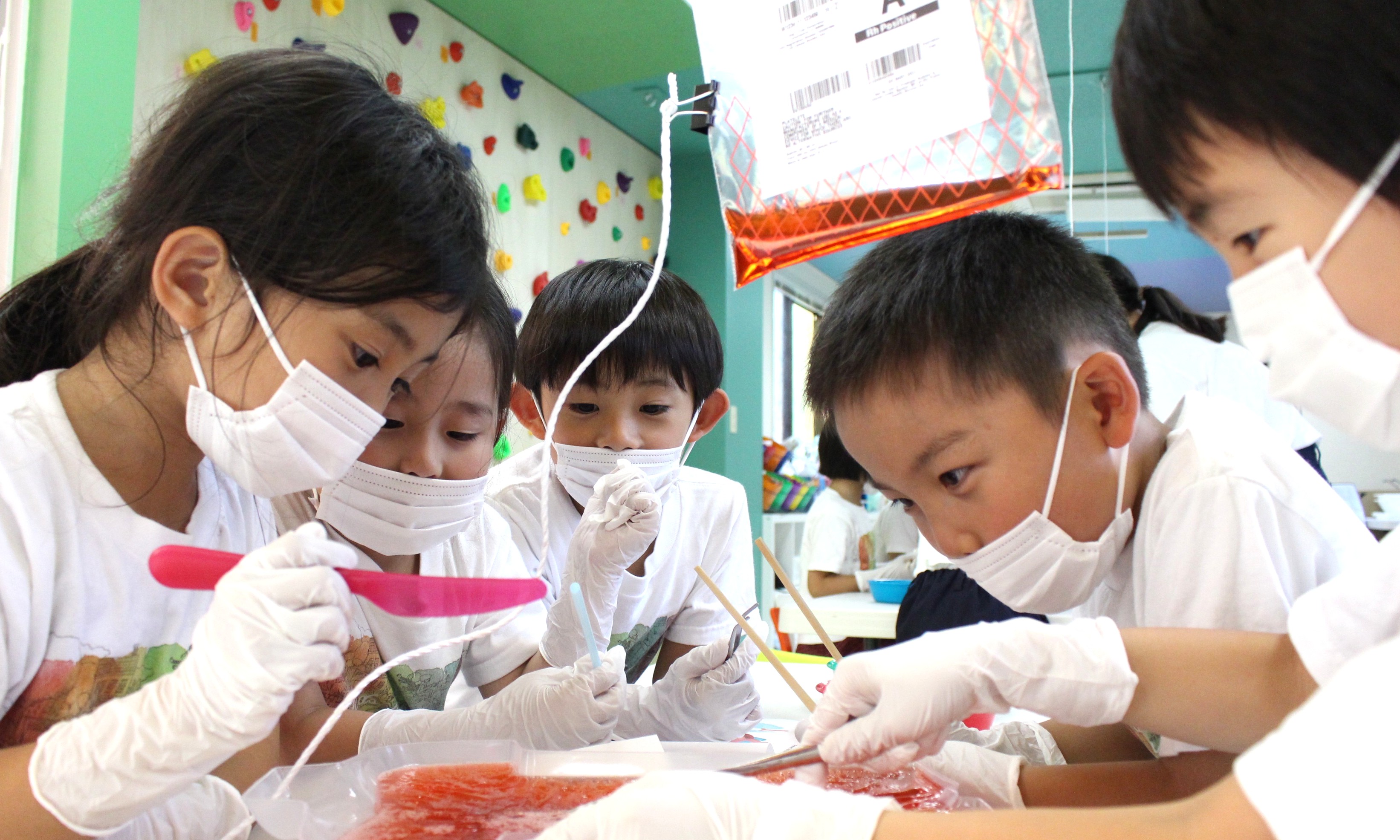 KOA JAPAN Inc.  / インターナショナルアフタースクールの正社員 管理・事務 教室の求人情報イメージ2