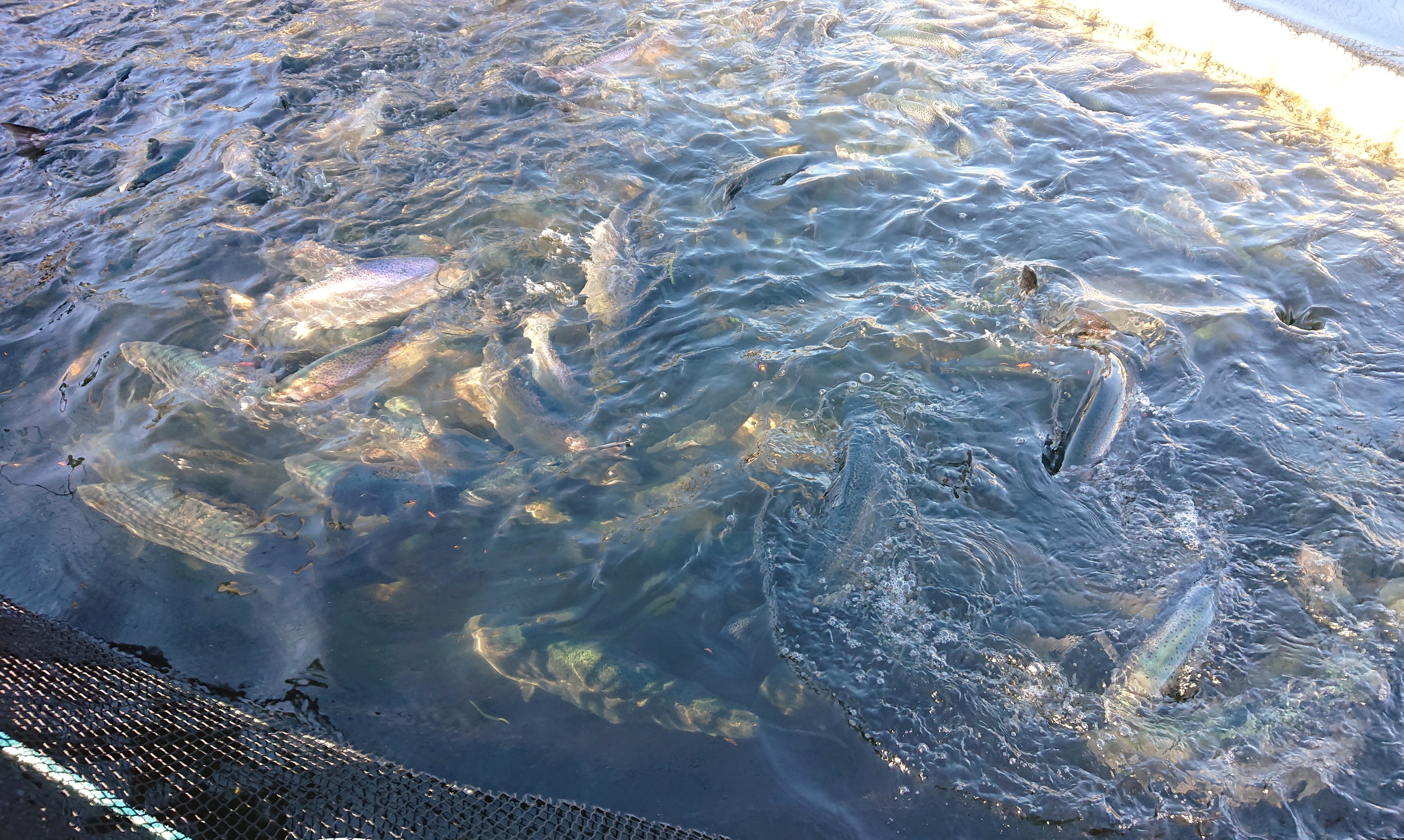 株式会社協栄商会 ／海外営業の正社員 法人営業 海外営業 その他 オフィスの求人情報イメージ2