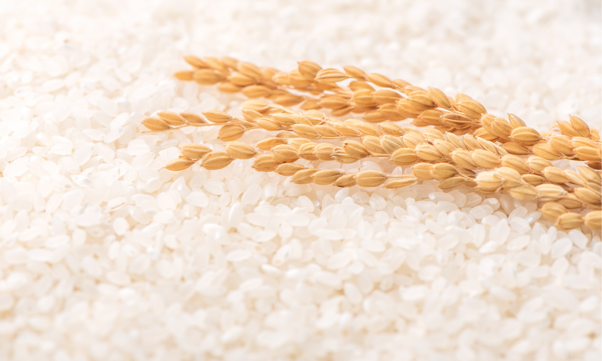 正社員 購買 オフィスの求人情報イメージ3