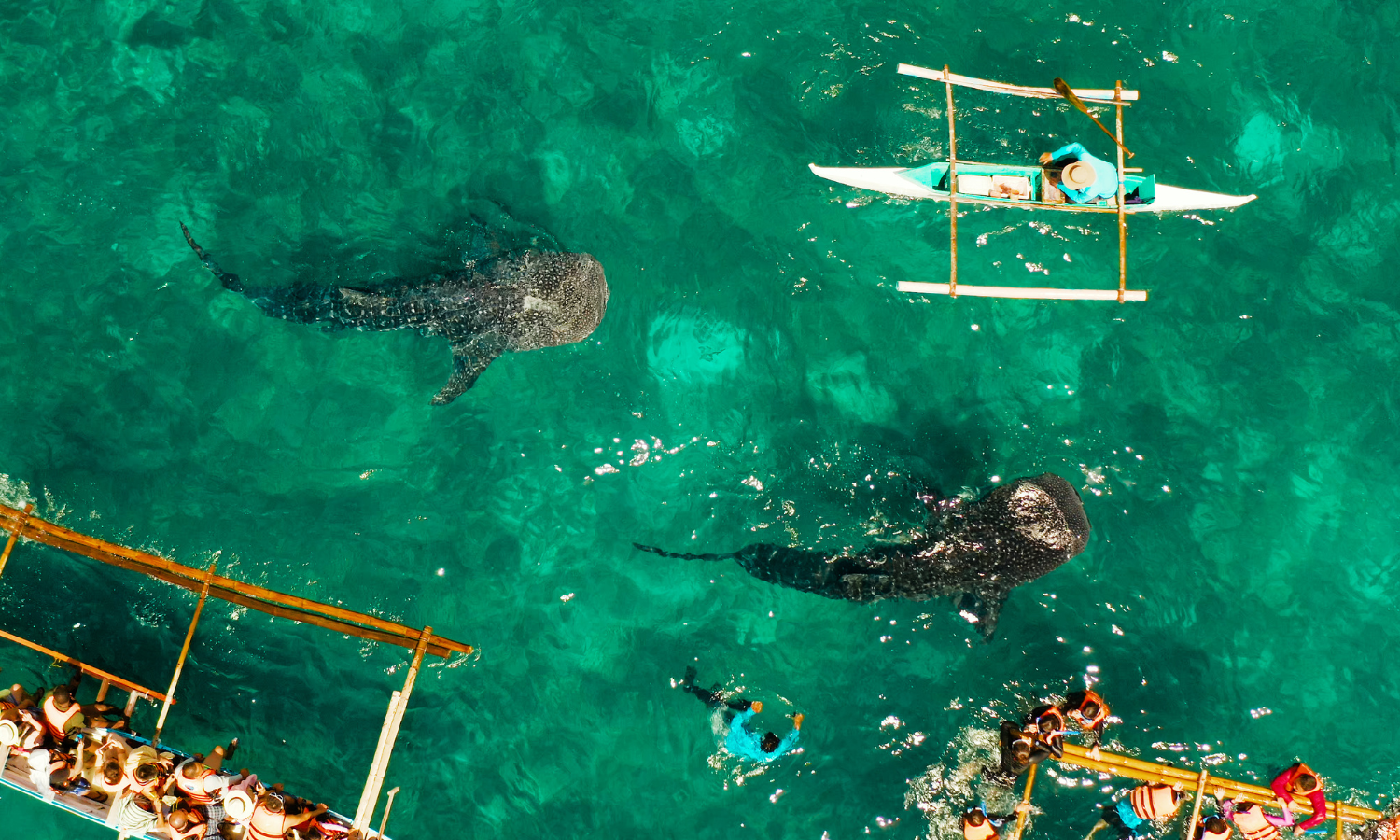 現地採用（海外） 経営企画・事業企画・業務企画 エンジニア（IT以外） 技術系（その他） その他の求人情報イメージ2