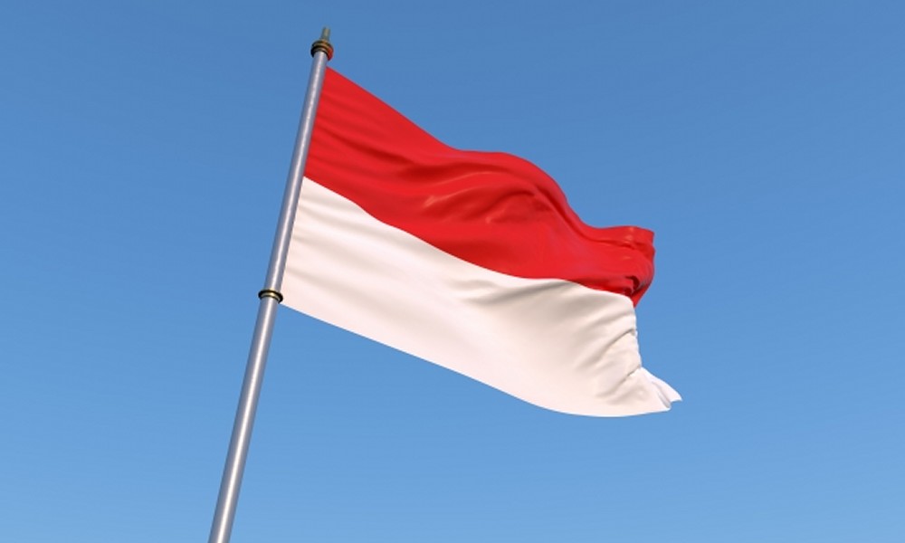 現地採用（海外） カスタマーサポート 法人営業 不動産企画・運営 物件管理 オフィスの求人情報イメージ2