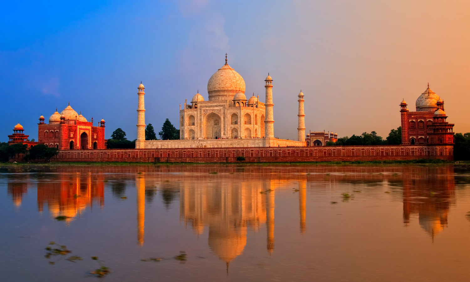 現地採用（海外） 法人営業 海外営業 オフィスの求人情報イメージ2