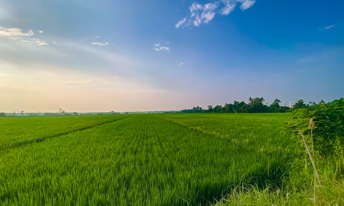 正社員 購買 オフィスの求人情報イメージ6