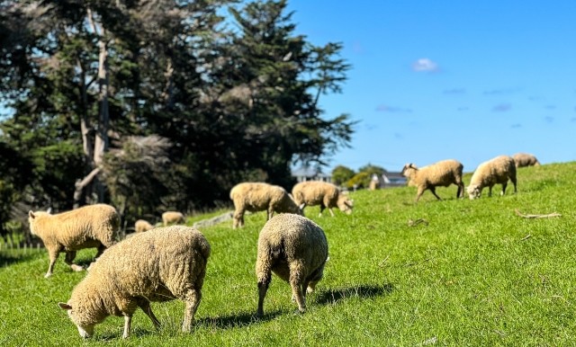 株式会社サラダボウル ／海外研修スタッフ（社員候補）のパート・アルバイト その他 その他の求人情報イメージ5