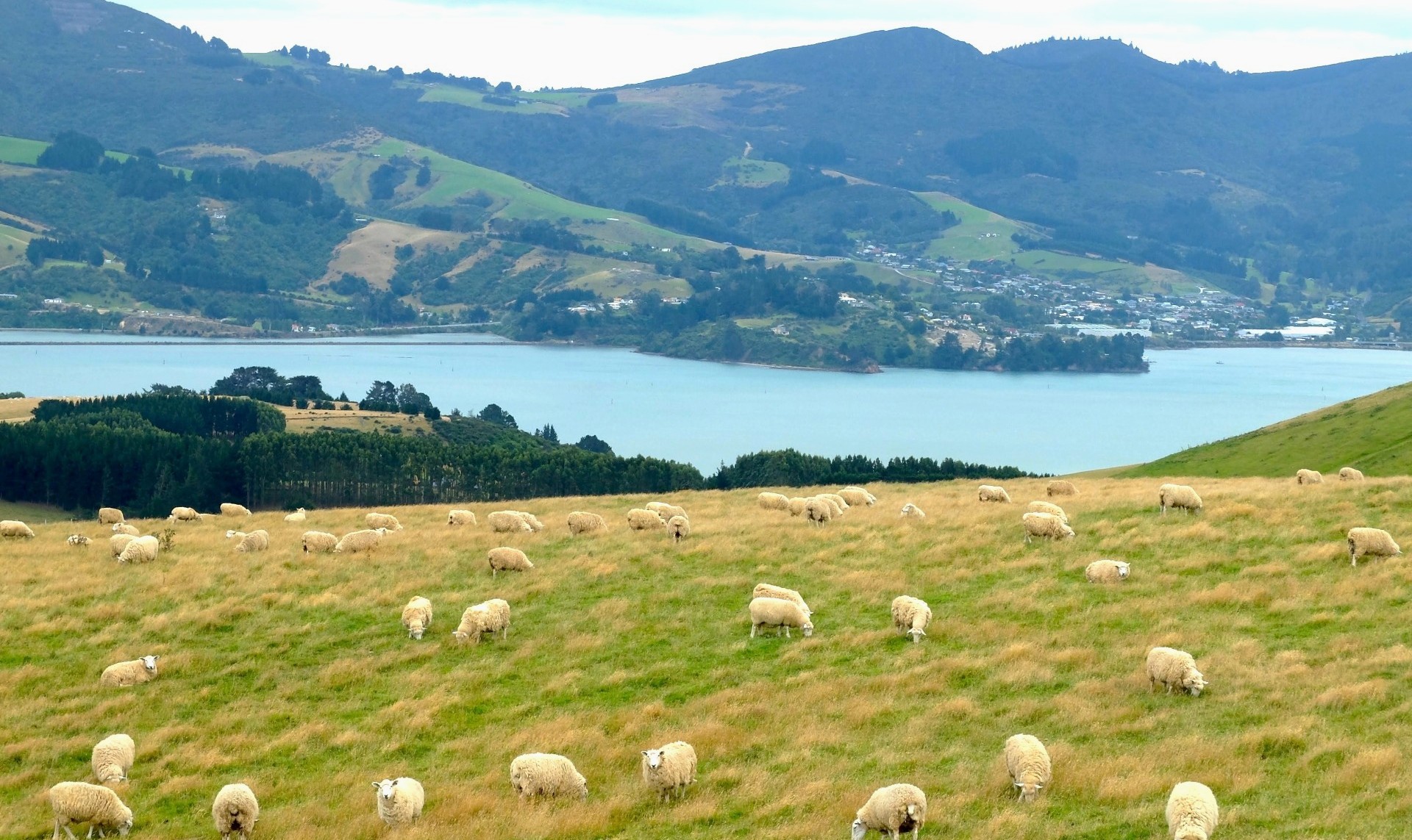 アルバイト その他求人イメージ