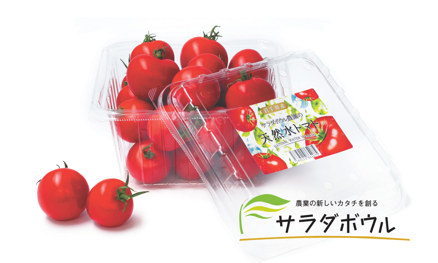 株式会社サラダボウル ／海外研修スタッフ（社員候補）のパート・アルバイト その他 その他の求人情報イメージ6