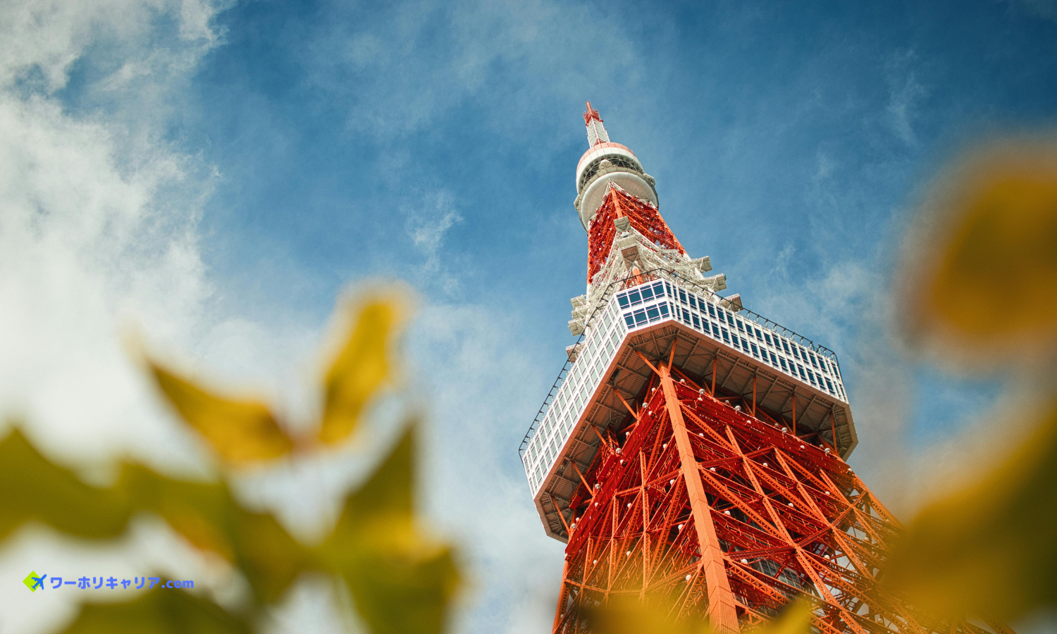 正社員 インフォメーション・受付 その他（空港・観光関係） 店舗の求人情報イメージ3