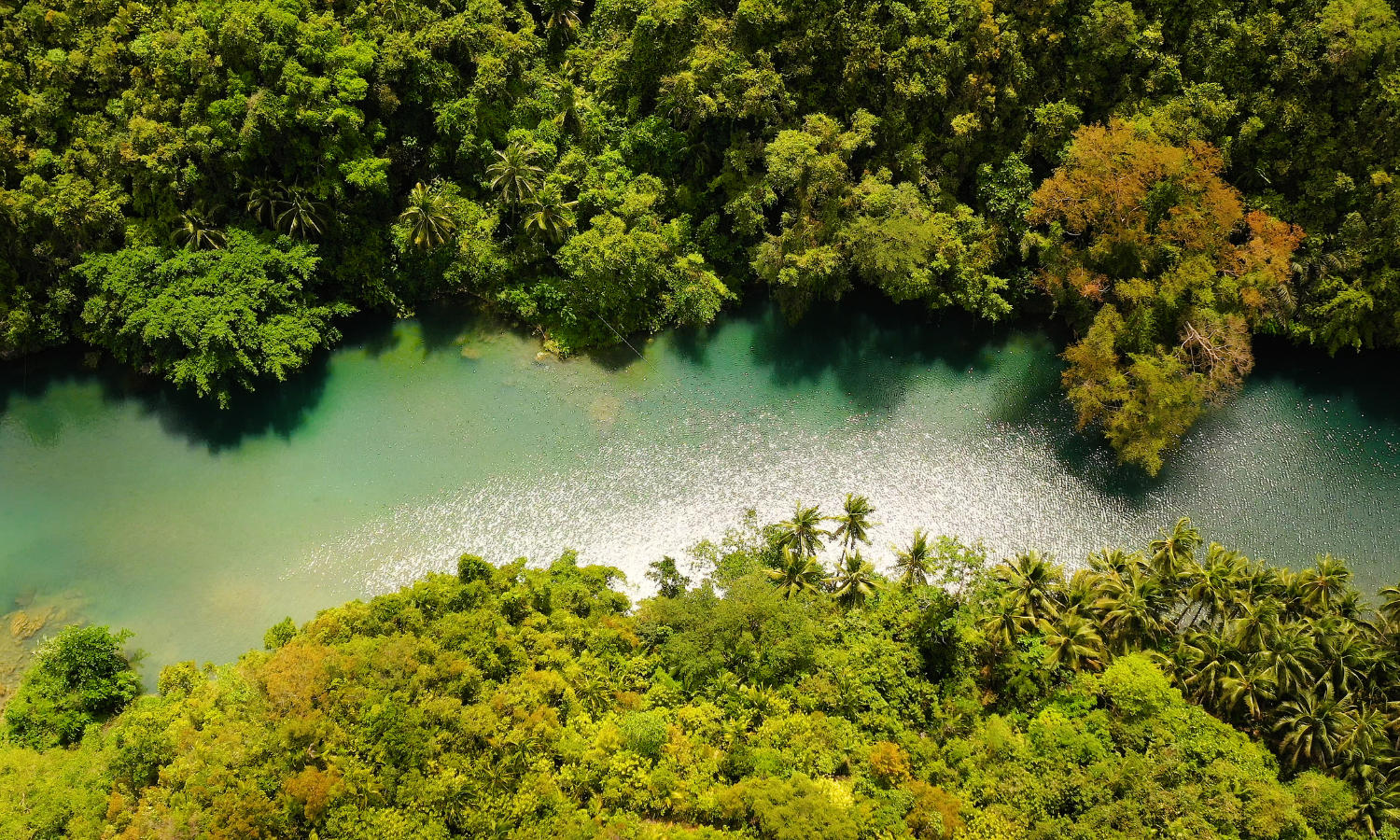 現地採用（海外） コンテンツ制作（動画・ライター・SNS） その他（クリエイティブ・デザイン系） オフィスの求人情報イメージ2