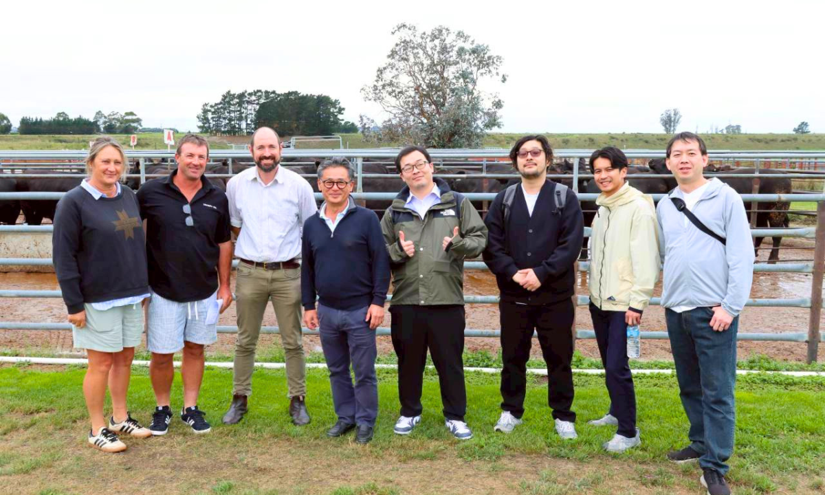 アンズコフーズワカヌイ株式会社 ｜ワカヌイ グリル ダイニング バー 東京 の正社員 キッチン ホール 店舗の求人情報イメージ9