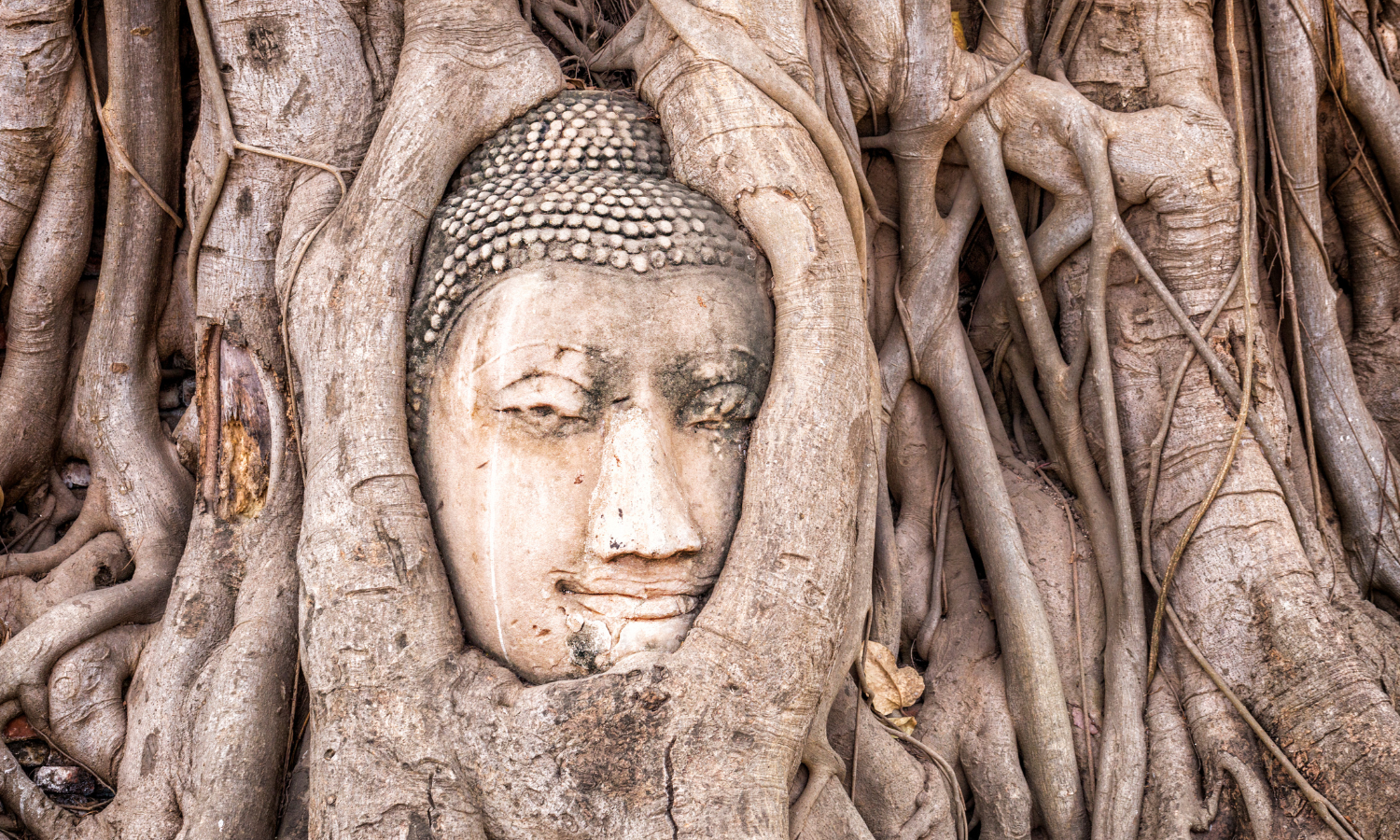 現地採用（海外） 法人営業 オフィスの求人情報イメージ4