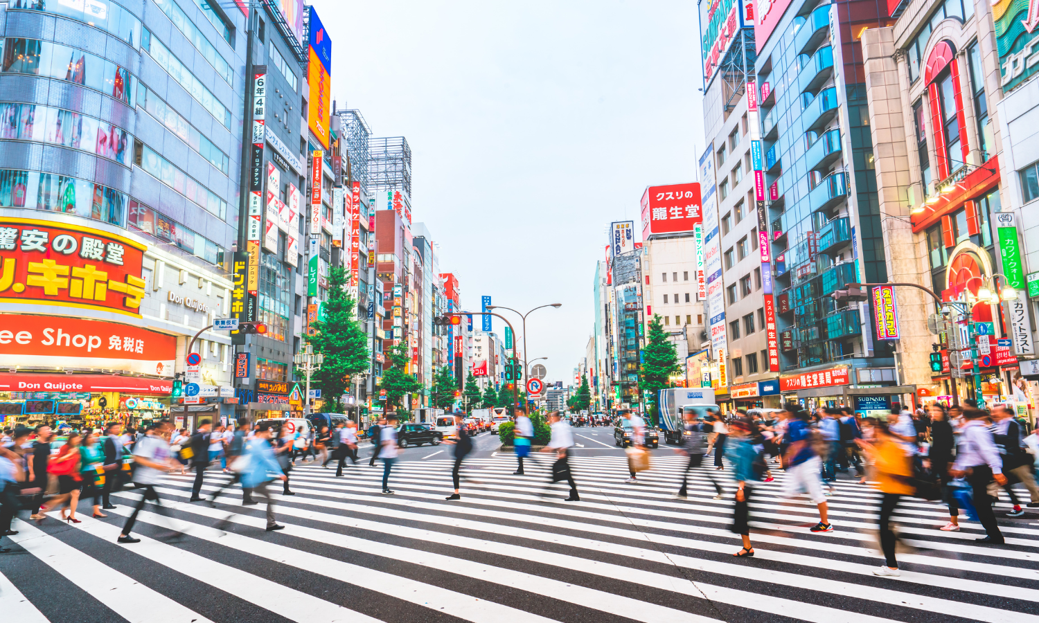 正社員 レストラン（ホテル） 宿泊の求人情報イメージ4