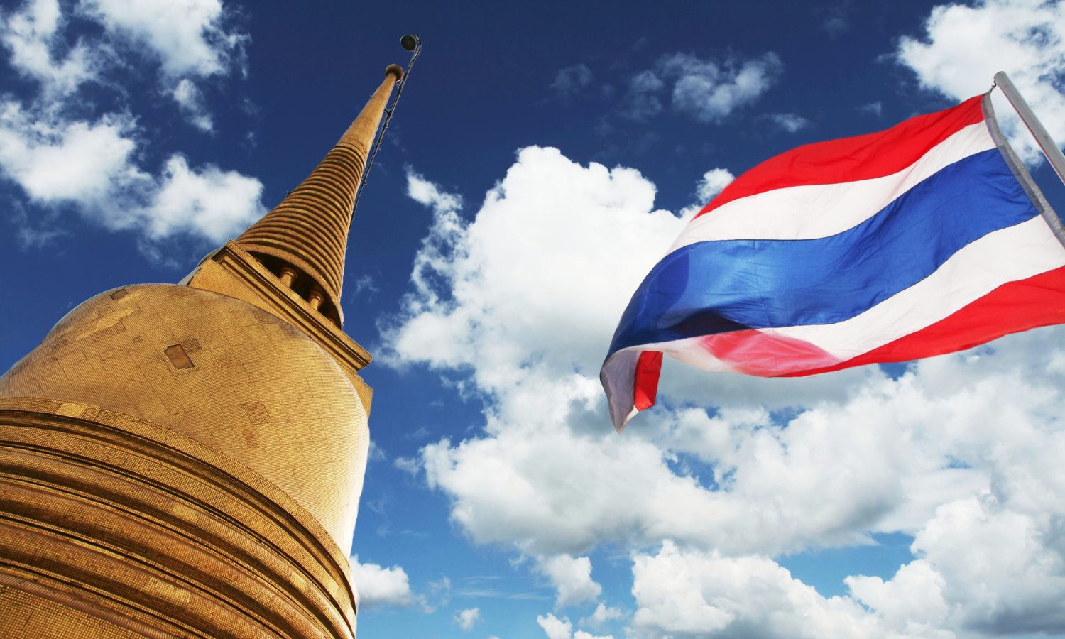 現地採用（海外） 法人営業 オフィスの求人情報イメージ4