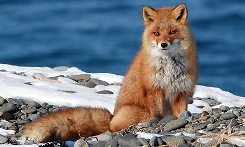 株式会社西遊旅行 ／知床半島ゲストハウスの運営の正社員 ホテルスタッフ 接客 宿泊の求人情報イメージ12